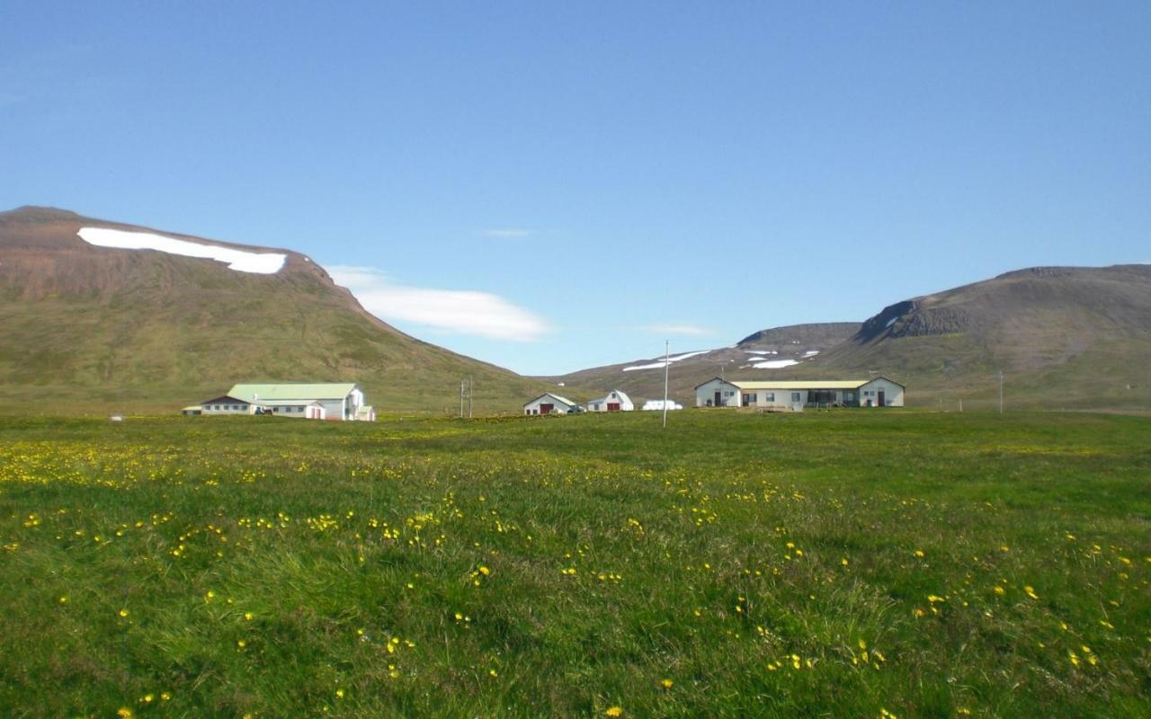 Steinnyjarstathir Skagastrond ภายนอก รูปภาพ