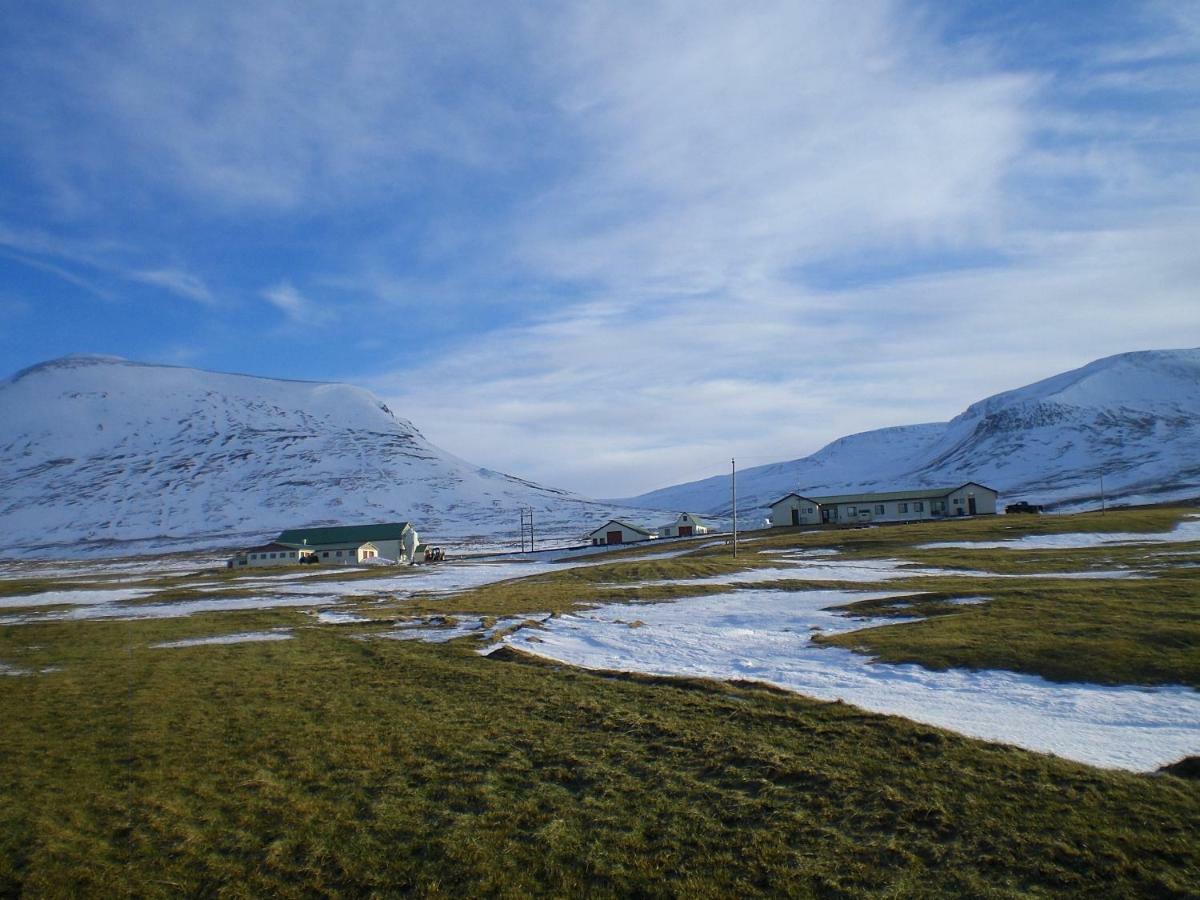 Steinnyjarstathir Skagastrond ภายนอก รูปภาพ